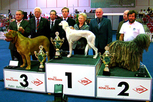 CH Dakira Sawahin wird bester Hund  (Best-in-Show) der Bundessieger-Zuchtschau 2007. Foto: Bettina Zinn